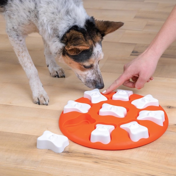 Outward Hound Nina Ottosson Dog Smart Dog Puzzle Interactive Treat Puzzle Dog Enrichment Dog Toy, Level 1 Beginner, Orange - Image 6