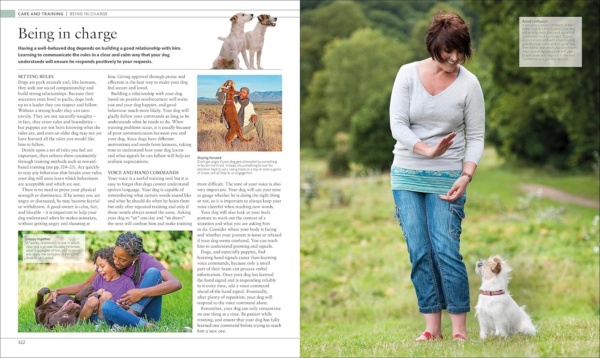 The Dog Encyclopedia: The Definitive Visual Guide (DK Pet Encyclopedias) - Image 12