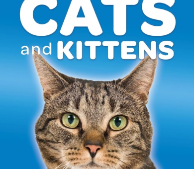 Caring for Cats and Kittens (Battersea Dogs & Cats Home: Pet Care Guides)