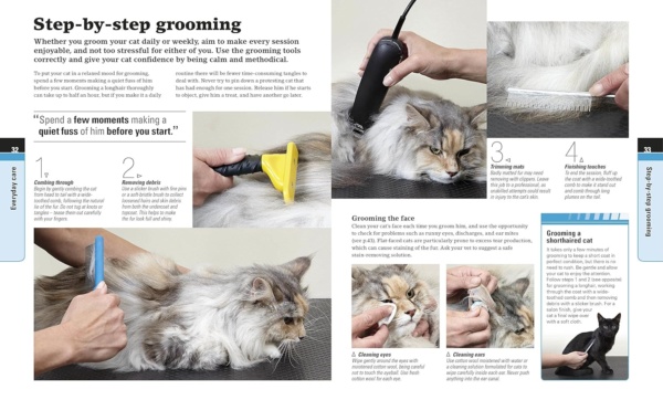 Complete Cat Care: How to Keep Your Cat Healthy and Happy (DK Practical Pet Guides) - Image 5