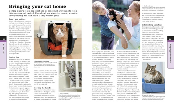 Complete Cat Care: How to Keep Your Cat Healthy and Happy (DK Practical Pet Guides) - Image 4